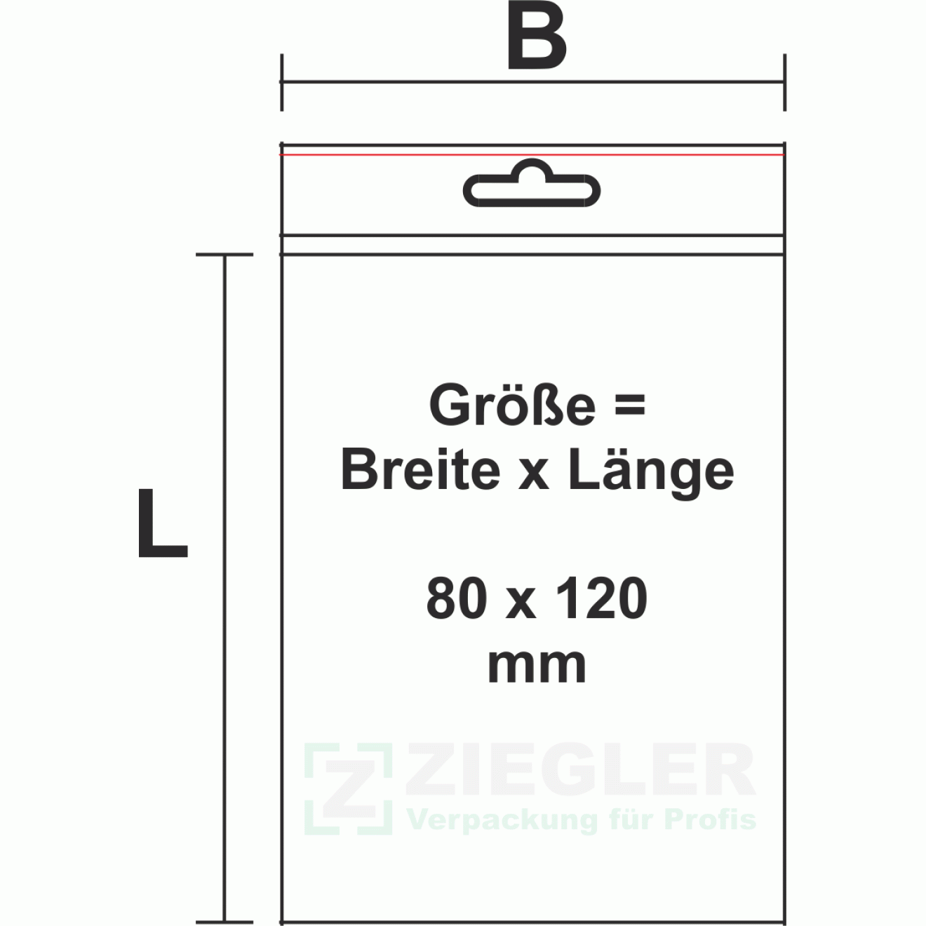 Beutel 80x120 Druckverschluß Euroloch